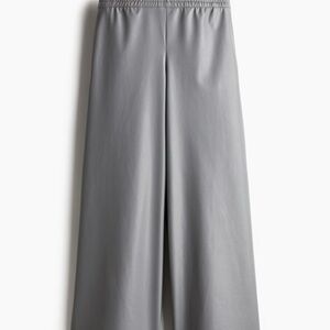 H&M Stylish Wide-Leg Coated Pants